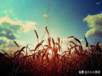 镇江同源堂商贸有限公司