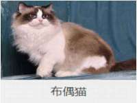 镇江同源堂商贸有限公司
