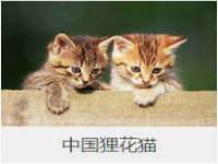 镇江同源堂商贸有限公司