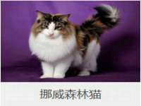 镇江同源堂商贸有限公司