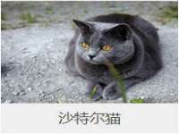 镇江同源堂商贸有限公司