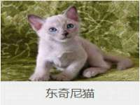 镇江同源堂商贸有限公司