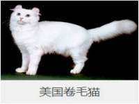 镇江同源堂商贸有限公司