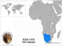 镇江同源堂商贸有限公司