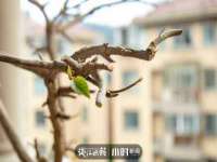 镇江同源堂商贸有限公司