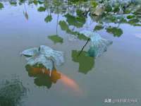镇江同源堂商贸有限公司