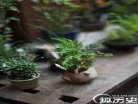 镇江同源堂商贸有限公司